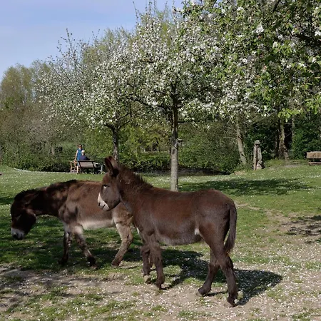 Grijzegraaf Vakantiewoning Voerstreek Fourons Extérieur photo
