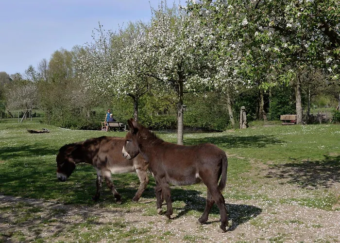 Grijzegraaf Vakantiewoning Voerstreek